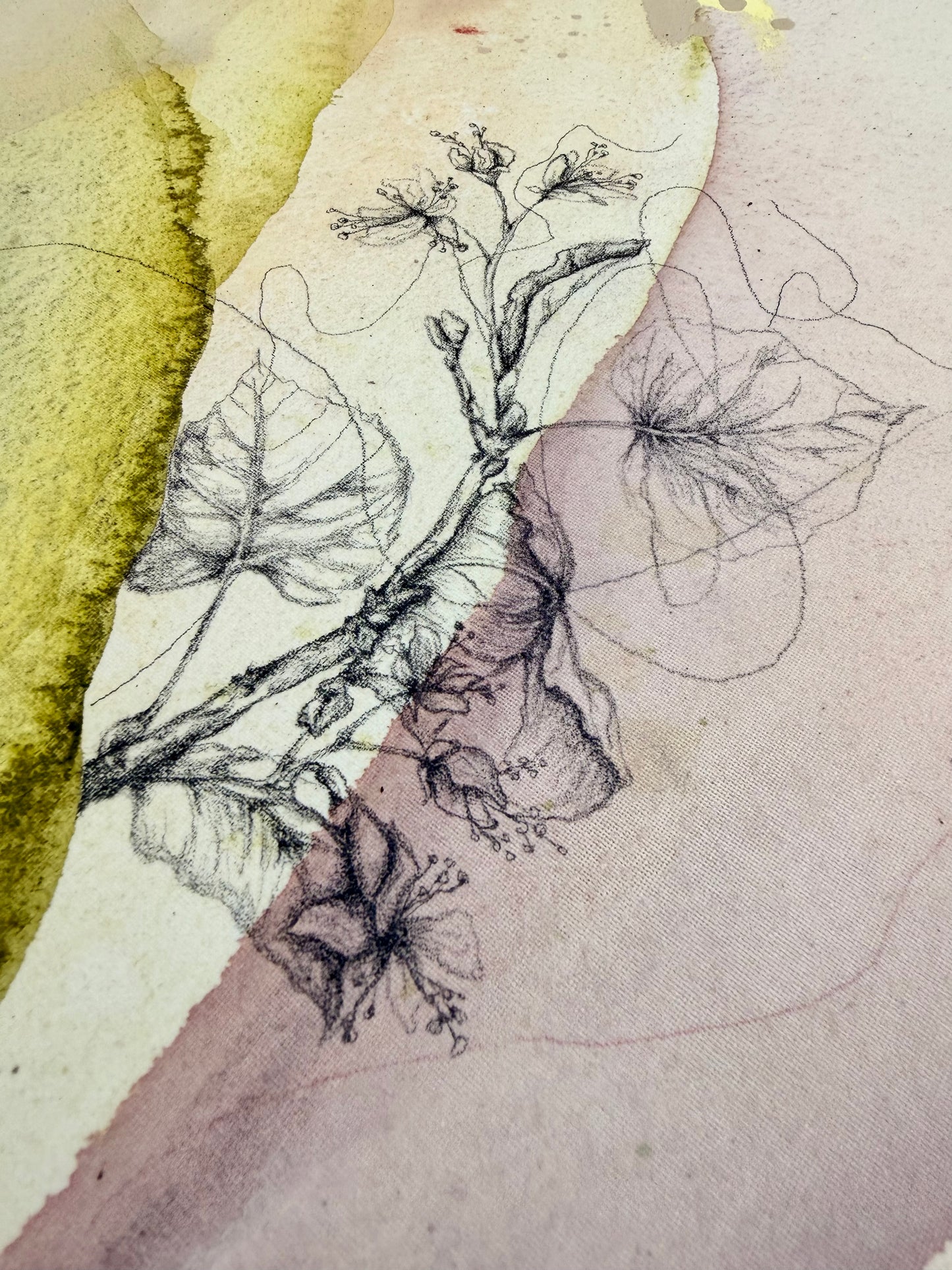 LIGHT THROUGH LEAVES - Kunstdruck