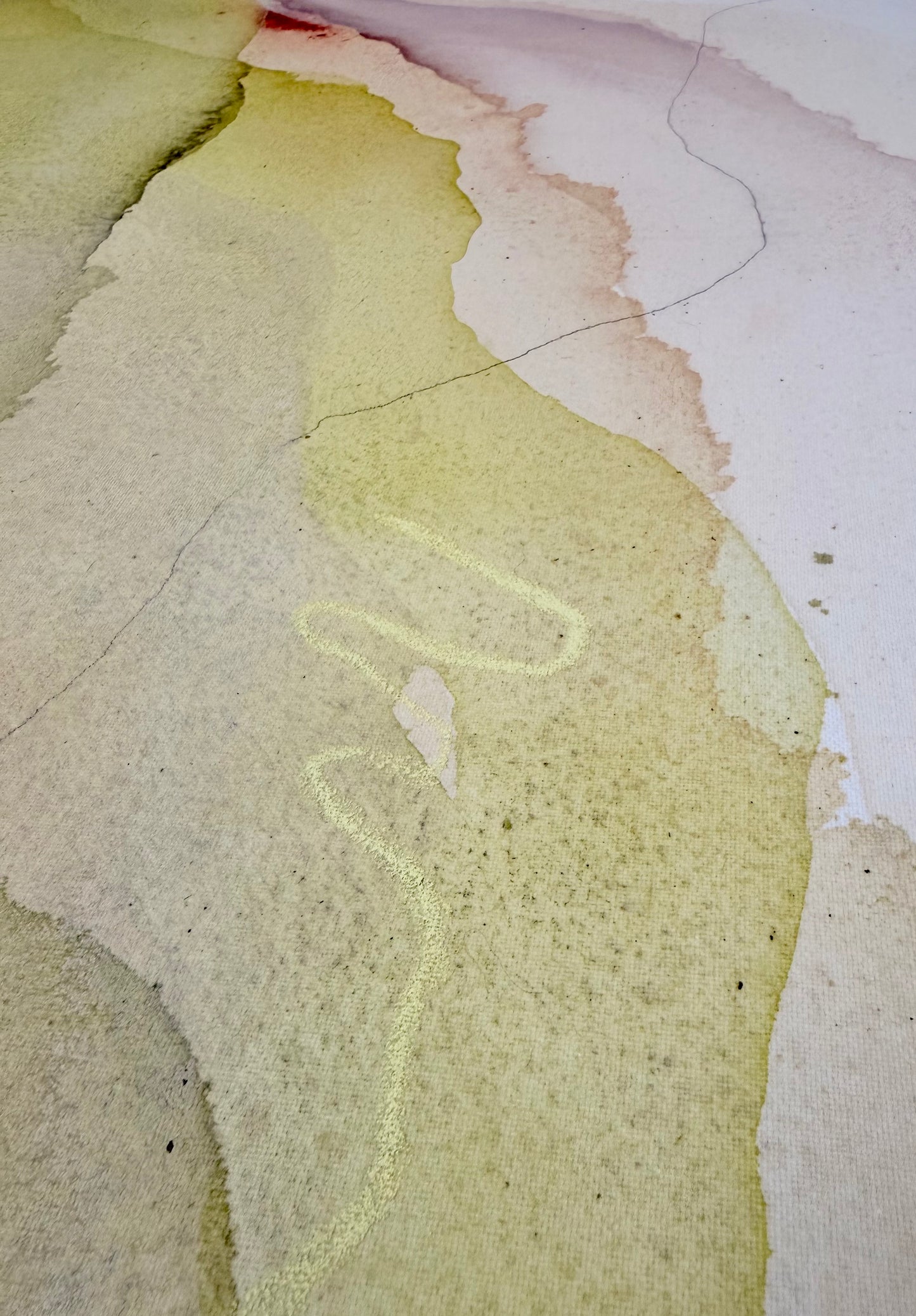 LIGHT THROUGH LEAVES - Kunstdruck